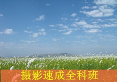 https://www.quzhaosheng.com/school-2292/document-id-7790.html