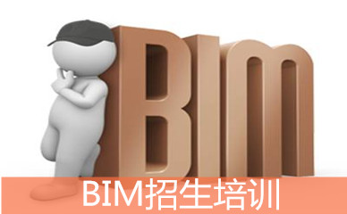 ͩBIMࣿ