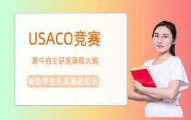 USACO